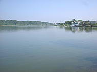佐鳴湖